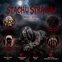STACHU STRACHU™ — 2